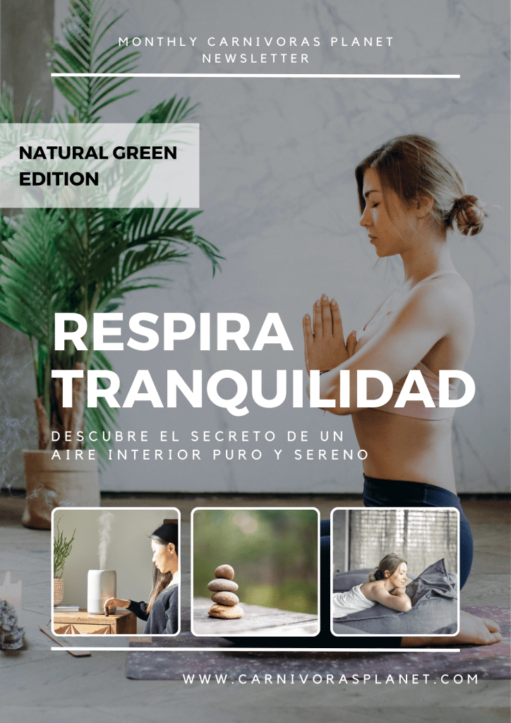 Respira Tranquilidad: Descubre el Secreto de un Aire Interior Puro y Sereno