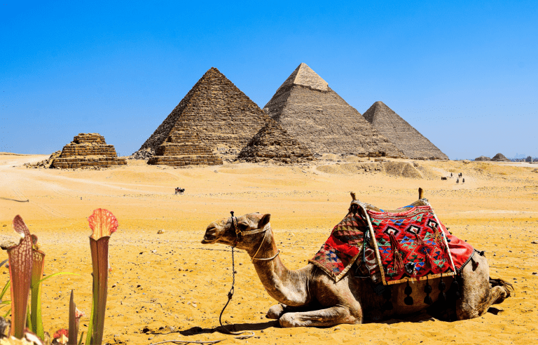 Plantas Carnívoras en el Antiguo Egipto