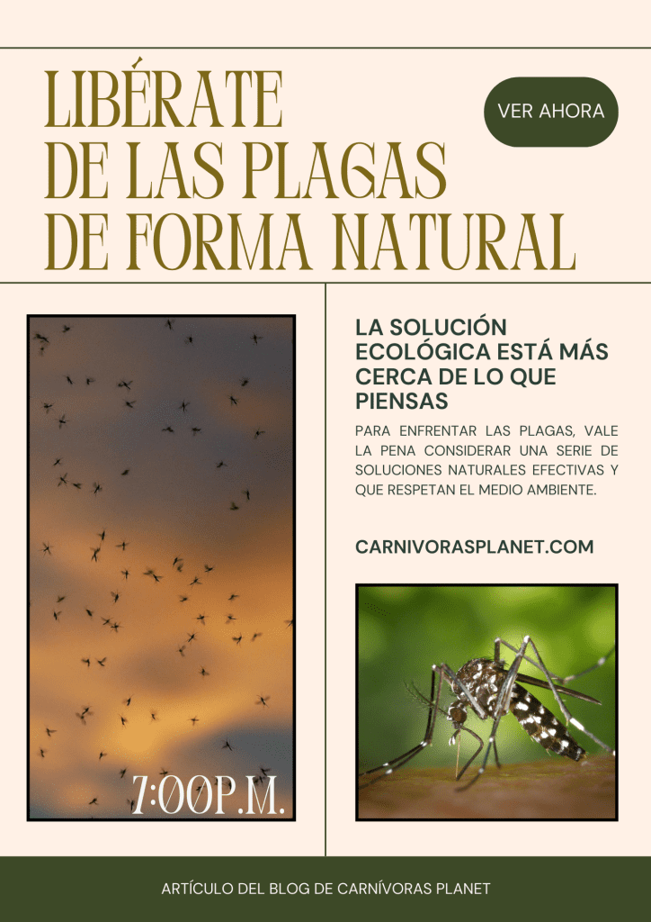 Libérate de las Plagas de Forma Natural: La Solución Ecológica está Más Cerca de lo Que Piensas