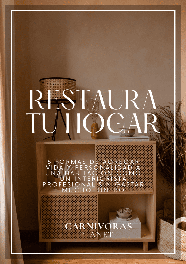 5 Formas de Agregar Vida y Personalidad a Una Habitación Como un Interiorista Profesional Sin Gastar Mucho Dinero